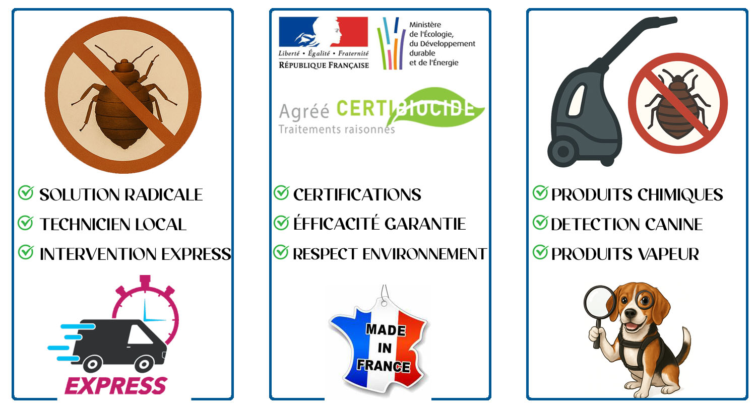 Punaises de Lit Le Perreux sur Marne